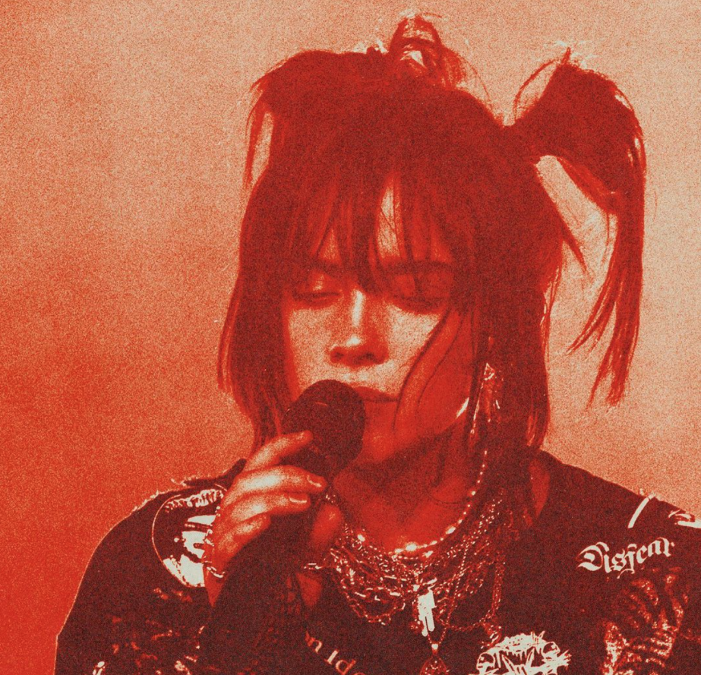 Billie eilish concert